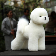 Load image into Gallery viewer, Model dog for grooming Practice Bichon mannequin set, 1 pcs Bichon dummy with 1 pcs bichon body wig
