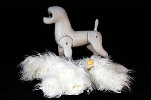 Model dog for grooming Practice Bichon mannequin set, 1 pcs Bichon dummy with 1 pcs bichon body wig